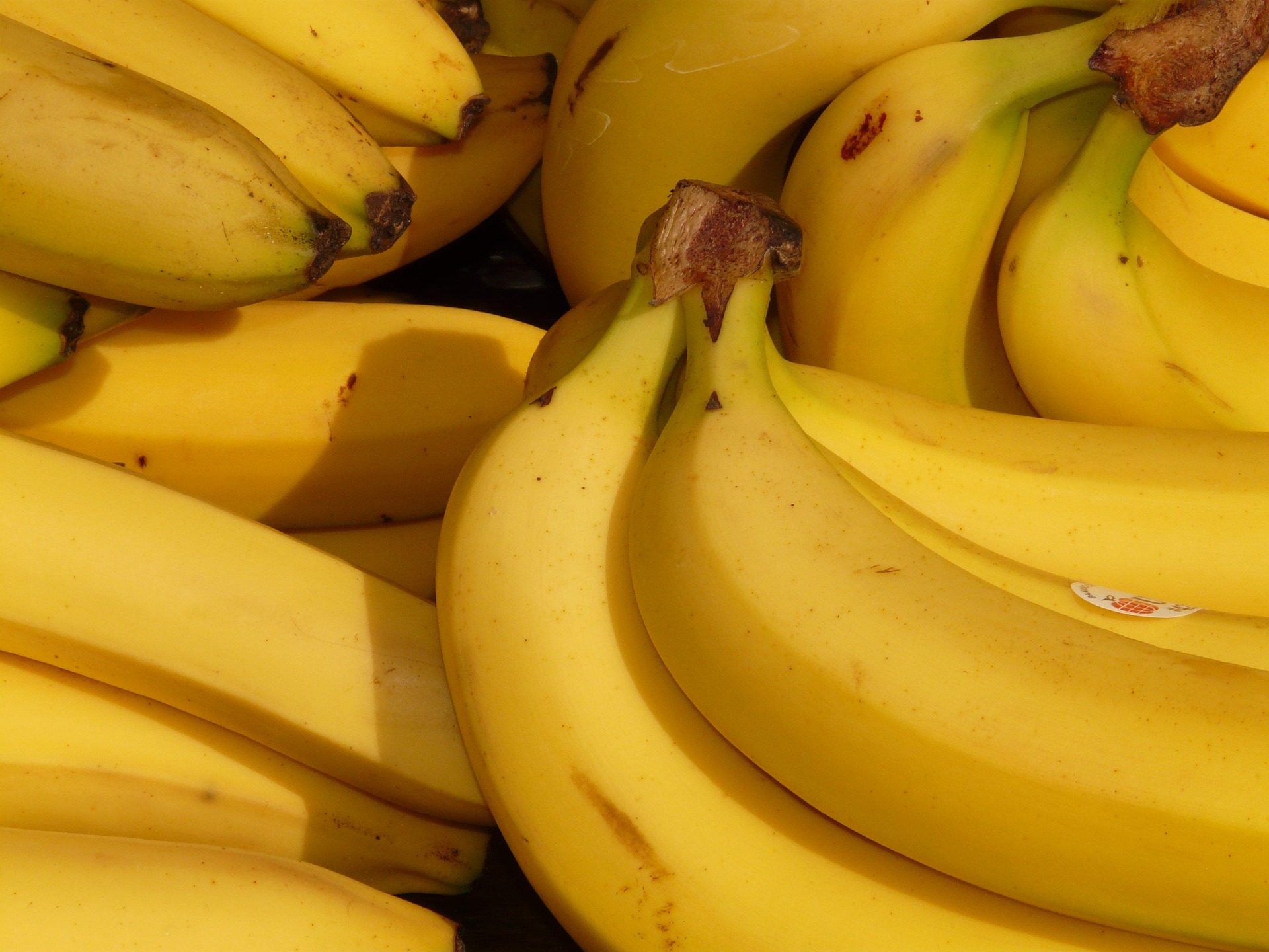 Ripe bananas on display
